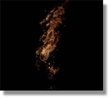 VegFireIcon.png